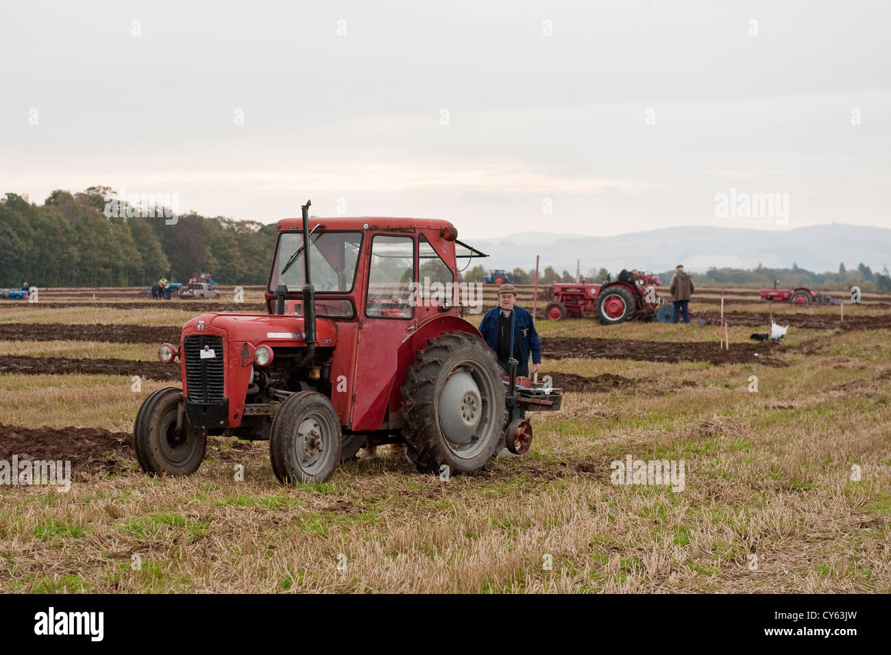 Oldtimer-roten Massey Fergusson Traktor, Schottland Stockfoto