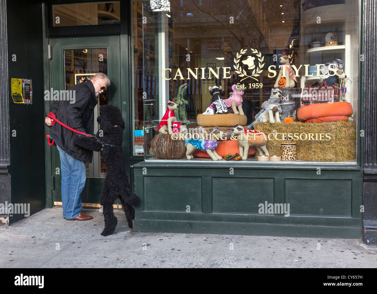 Hundebesitzer mit aufgeregt Pudel Eingabe Canine Styles Hund Shop, Manhattan, New York, USA Stockfoto
