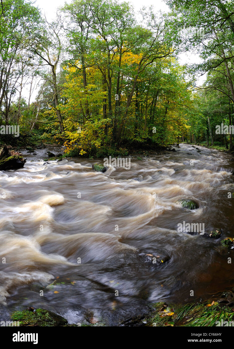 Schnell laufende Fluß Esk in der Nähe von Egton in North Yorkshire moors Stockfoto