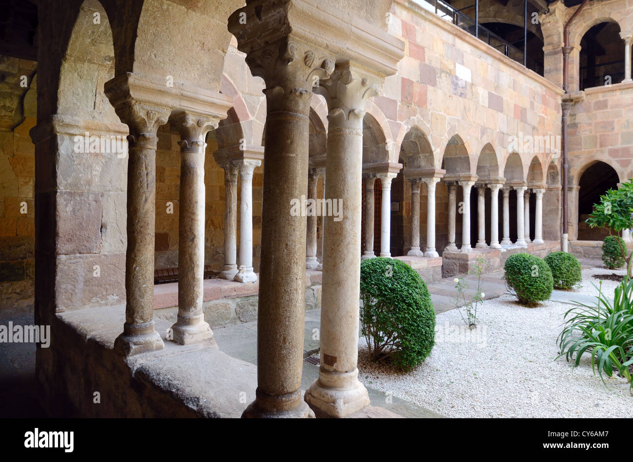 Innenhof des Klosters oder des Klosters von Frejus Kathedrale Frejus Var Provence Frankreich Stockfoto