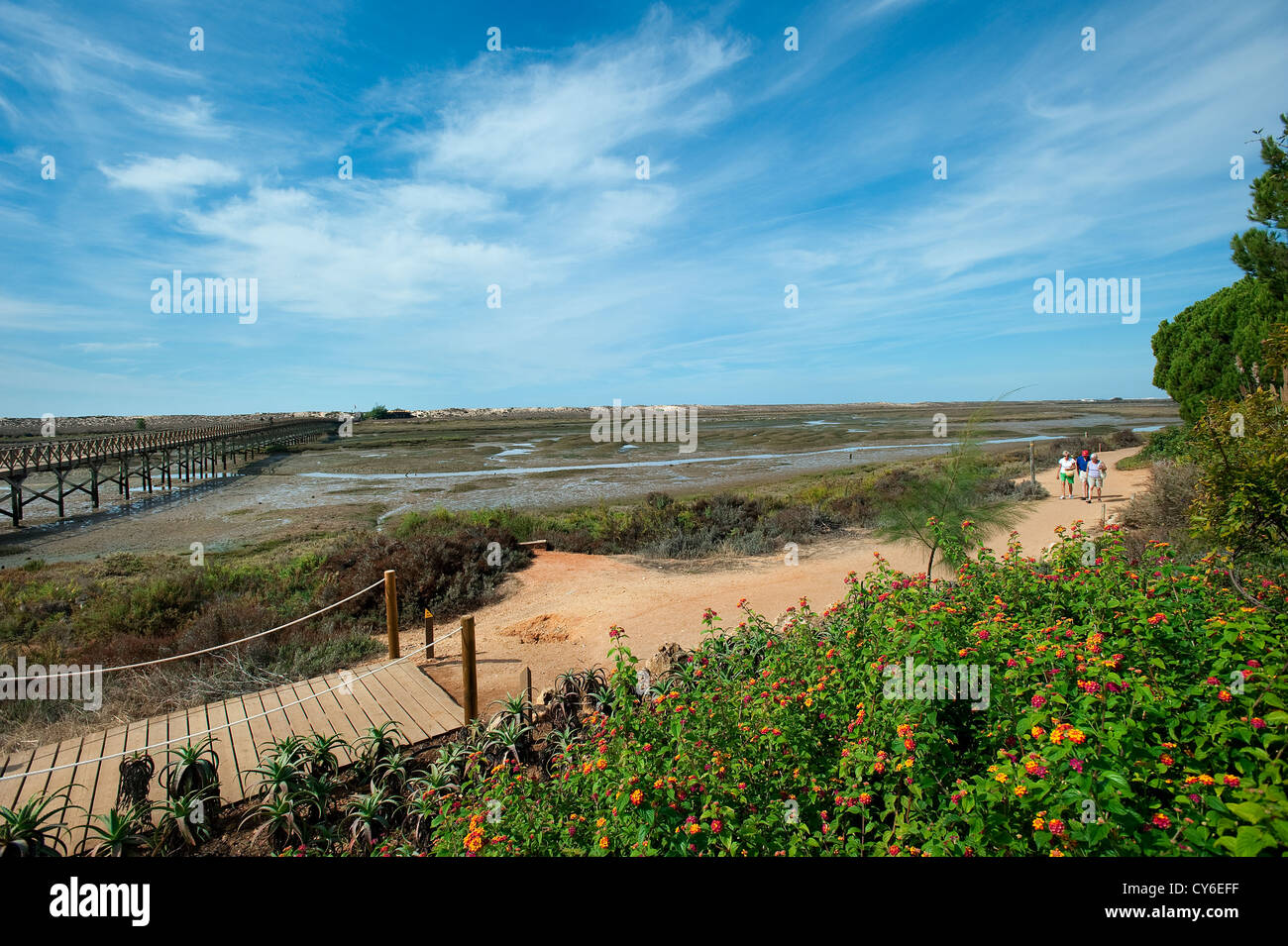 Naturpark Ria Formosa, Praia da Quinta do Lago, Algarve, Portugal Stockfoto