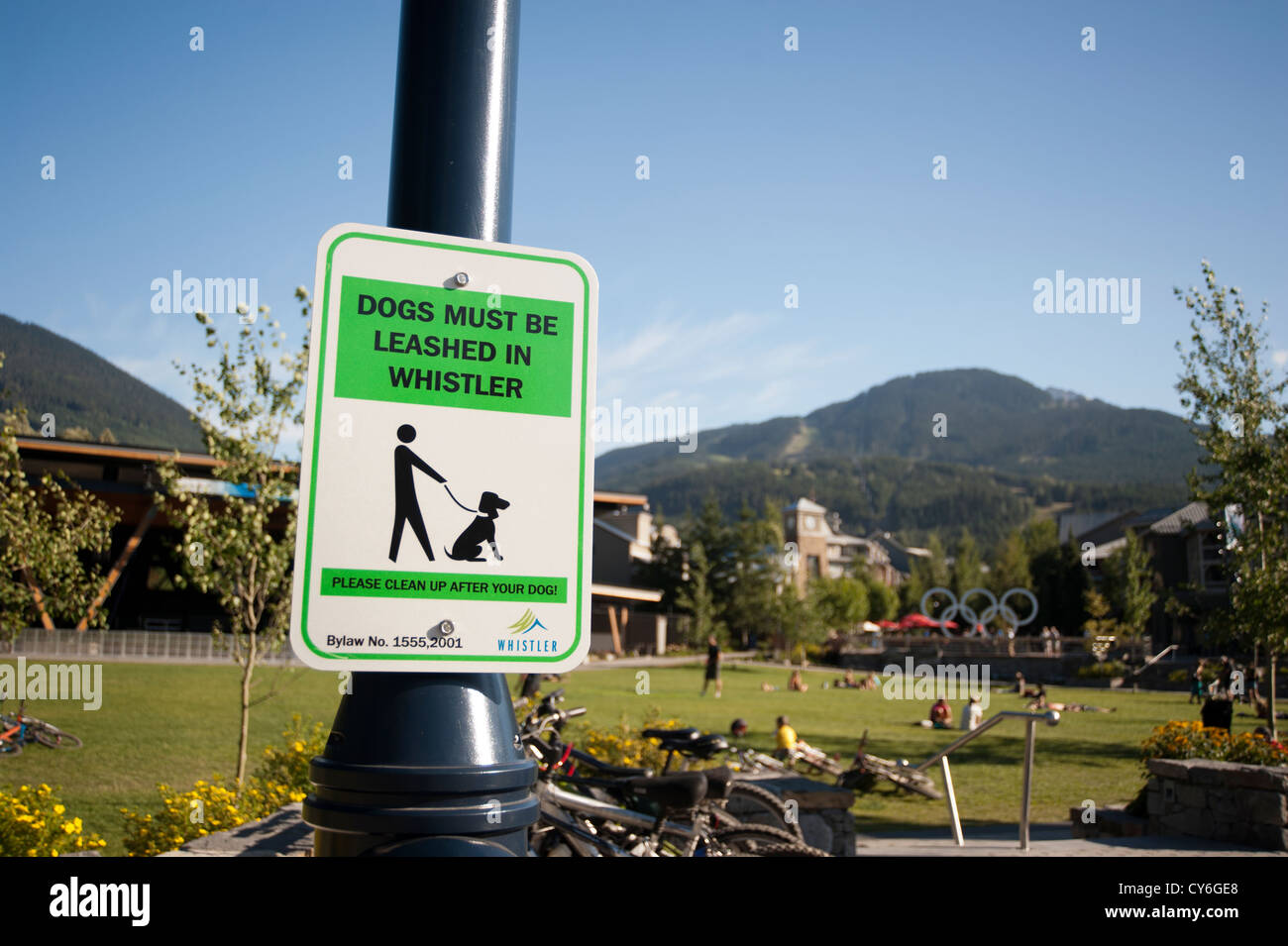 Ein Zeichen in Whistler, Britisch-Kolumbien, Kanada darauf hinweist, dass Hunde angeleint werden müssen Stockfoto