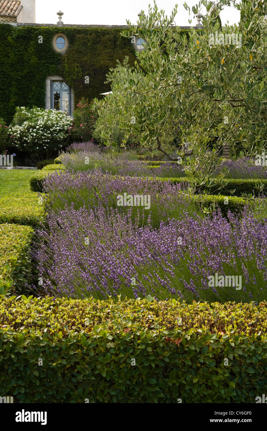 Französische Immobilien mit italienischen Gartengestaltung der regionalen Pflanzen aus biologischem Anbau von Dominique Lafourcade Stockfoto