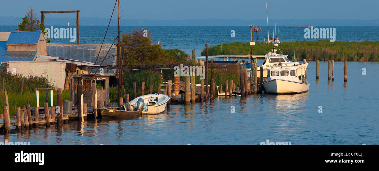 Tilghman Island, Maryland: Morgensonne auf Angelboote/Fischerboote angedockt entlang Knapps Narrows, Chesapeake Bay im Hintergrund Stockfoto