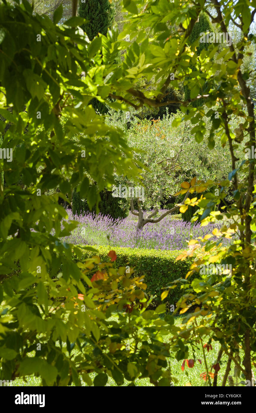 Französische Immobilien mit italienischen Gartengestaltung der regionalen Pflanzen aus biologischem Anbau von Dominique Lafourcade Stockfoto