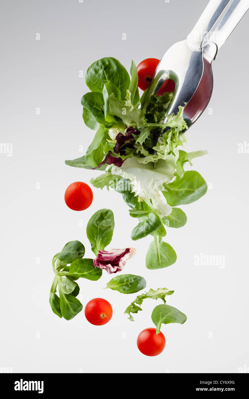 frischer Salat aus einer Klemme, die isoliert auf grauem Farbverlauf Hintergrund fallen Stockfoto