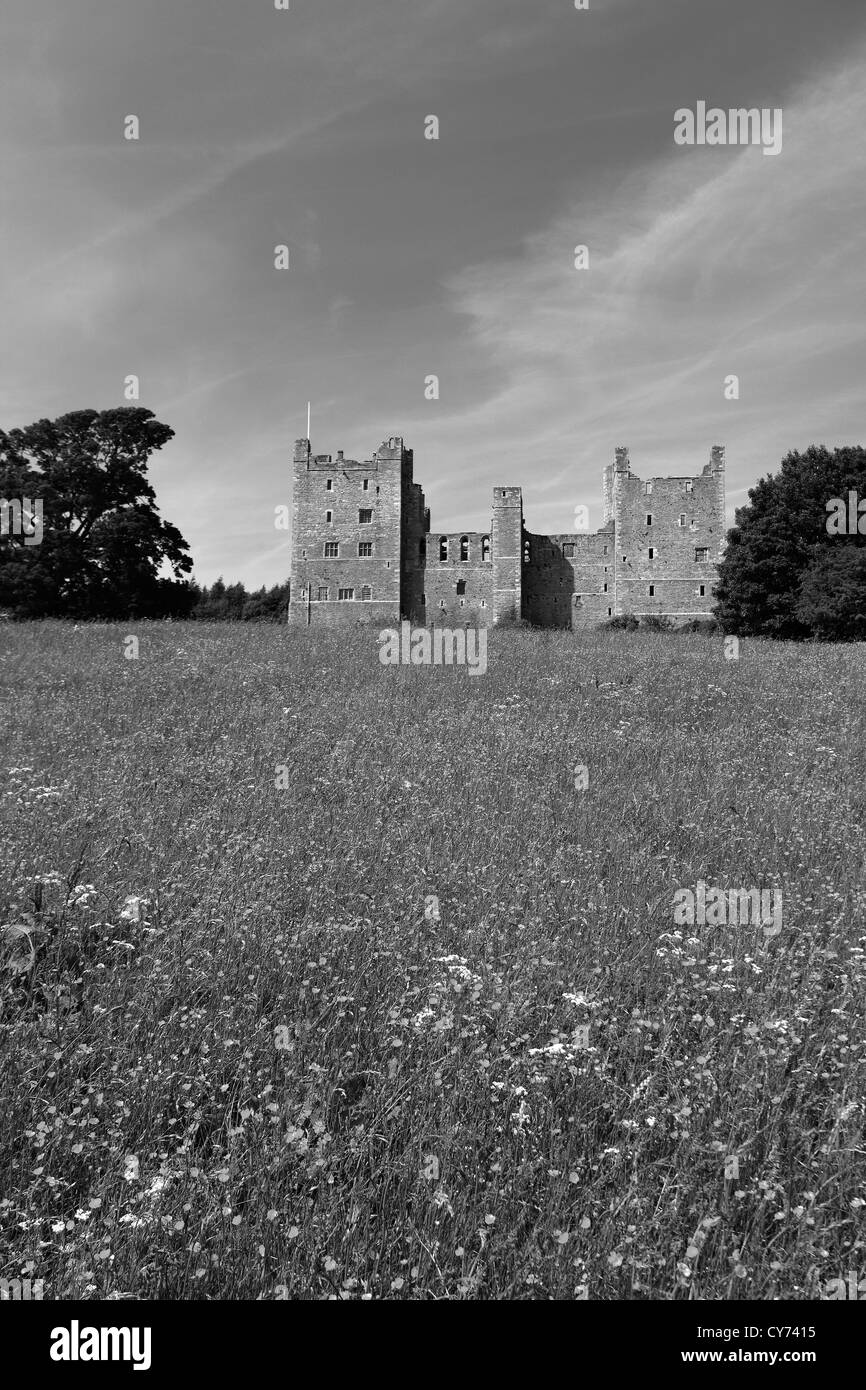 Schwarz / weiß Bild der Blumenwiese, Schloss Bolton Castle; Wensleydale; Yorkshire Dales National Park, England, United Kingdo Stockfoto