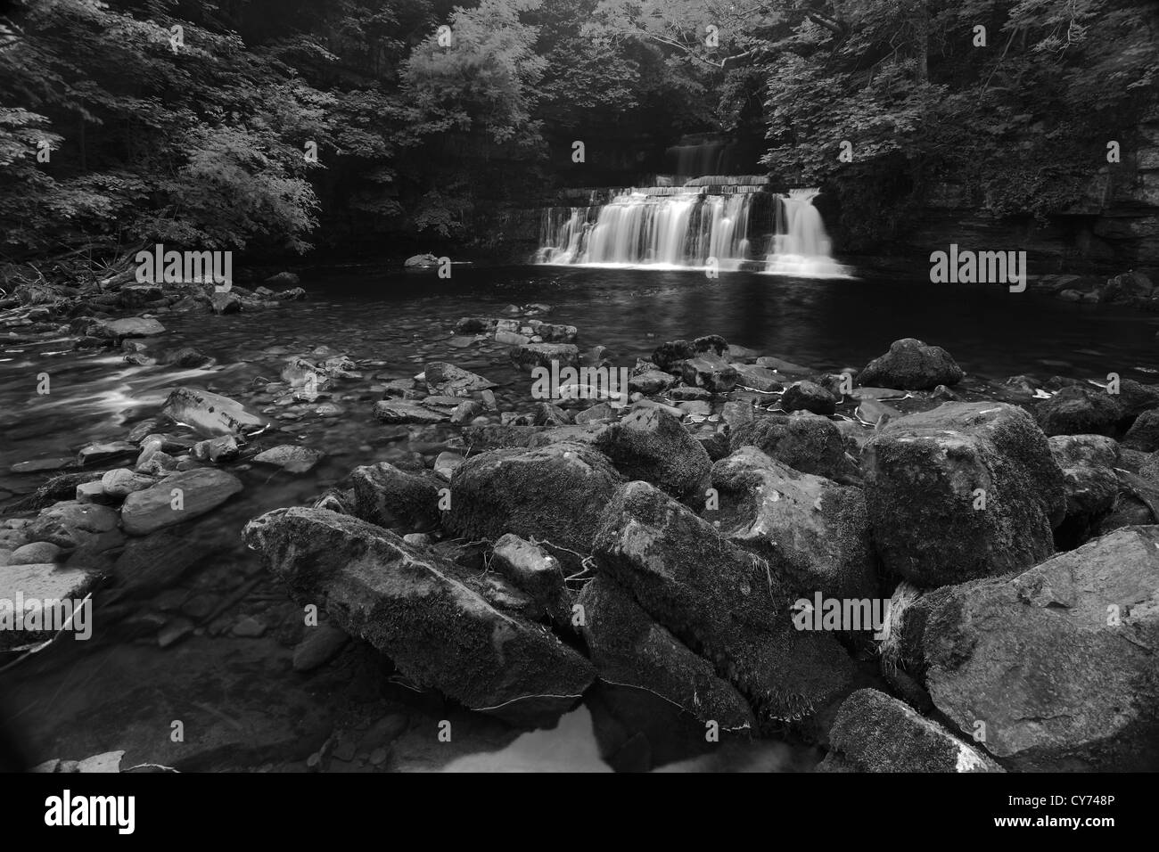 Schwarz-weiß -Bild Panorama Cotter Force Wasserfall, Fluß Ure, Wensleydale; Yorkshire Dales National Park, England Stockfoto