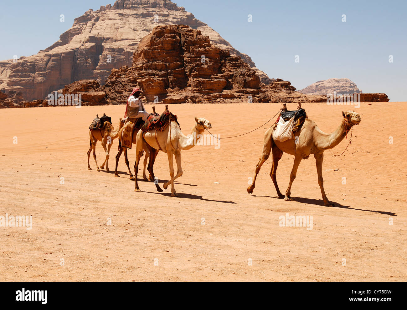 Wohnwagen in Wadi Rum Stockfoto