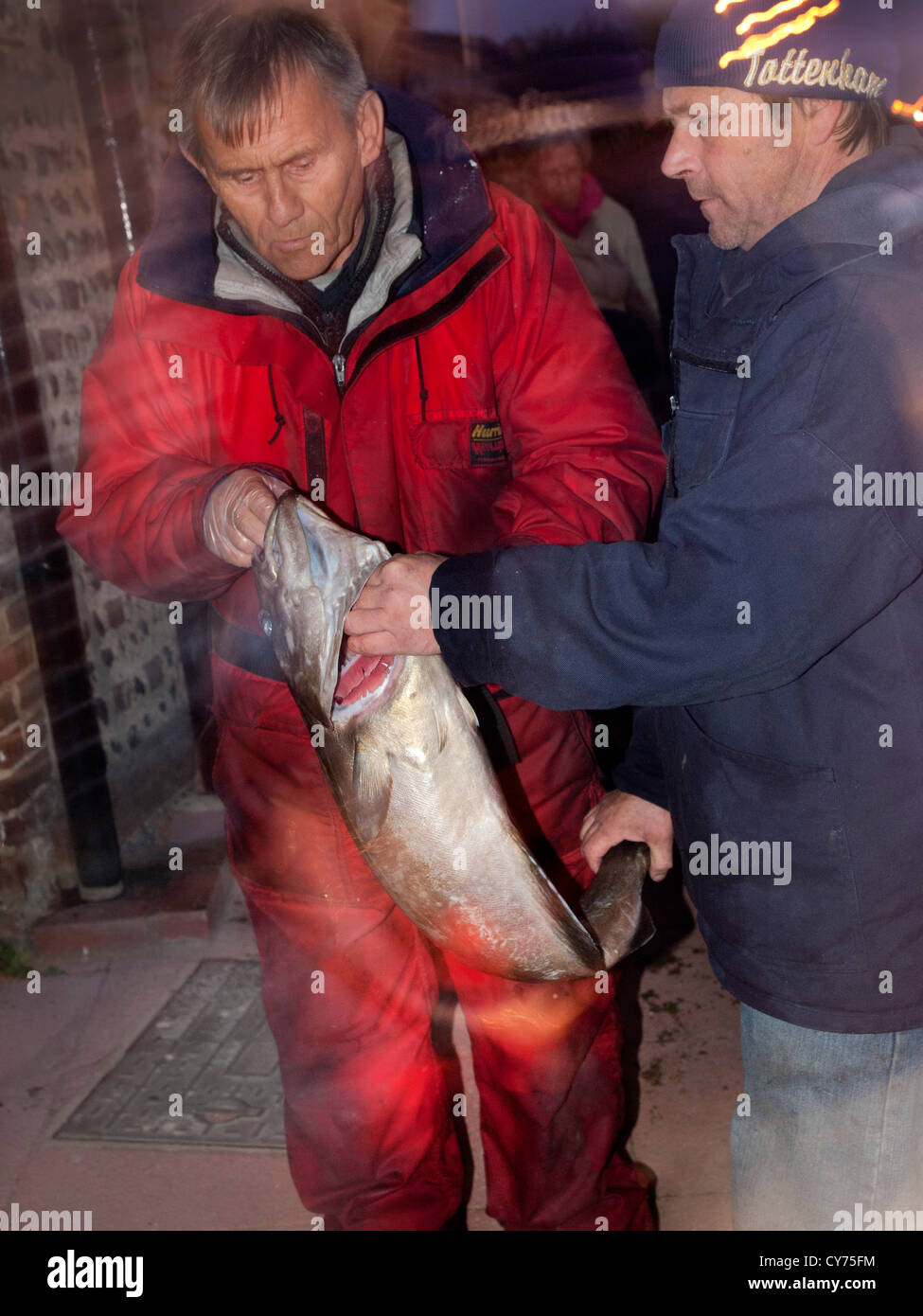 Nach einem Tag des Fischens in der Nähe von shoreham Hafen, ein Angeln club wiegt ihren Fang. Stockfoto