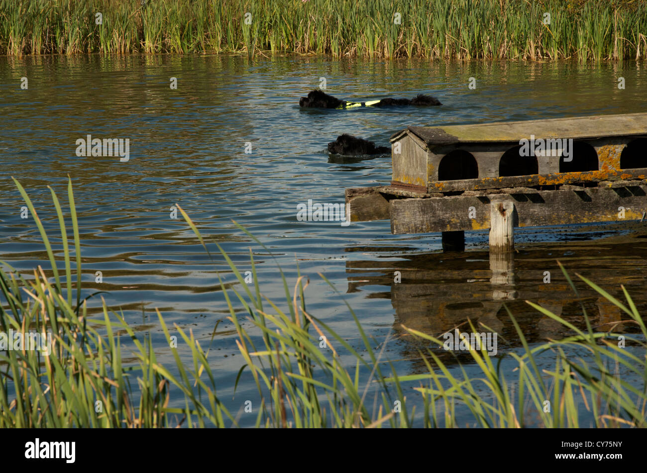Landhaus rettung Fotos und Bildmaterial in hoher Auflösung Alamy