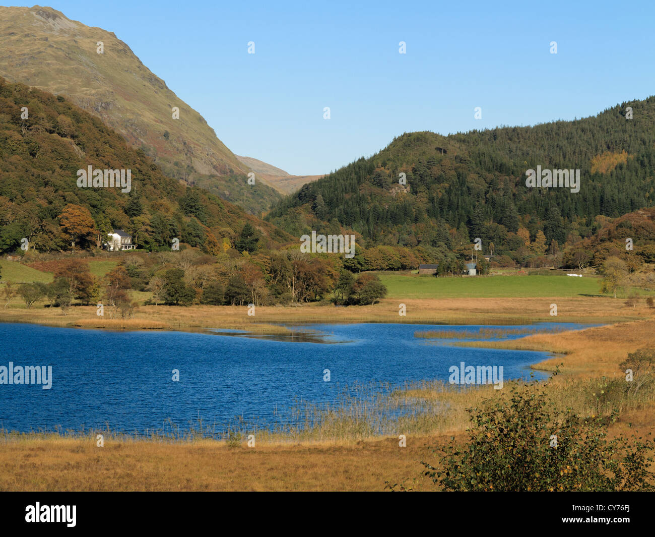 Llyn Dinas See und Llyndy Isaf Bauernhof im Nantgwynant-Tal im Snowdonia National Park im Herbst Gwynedd North Wales UK Großbritannien Stockfoto