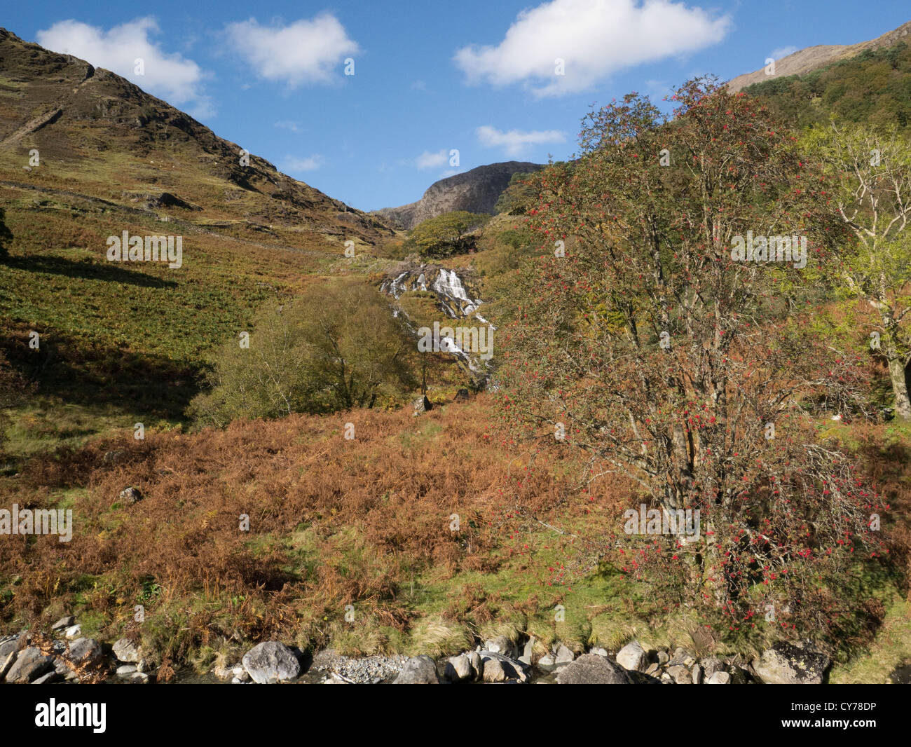 Eryri Snowdonia National Park North Wales Oktober Blick auf Cwm Llan mit einem Wasserfall, der von den Bergen herunterfließt Stockfoto