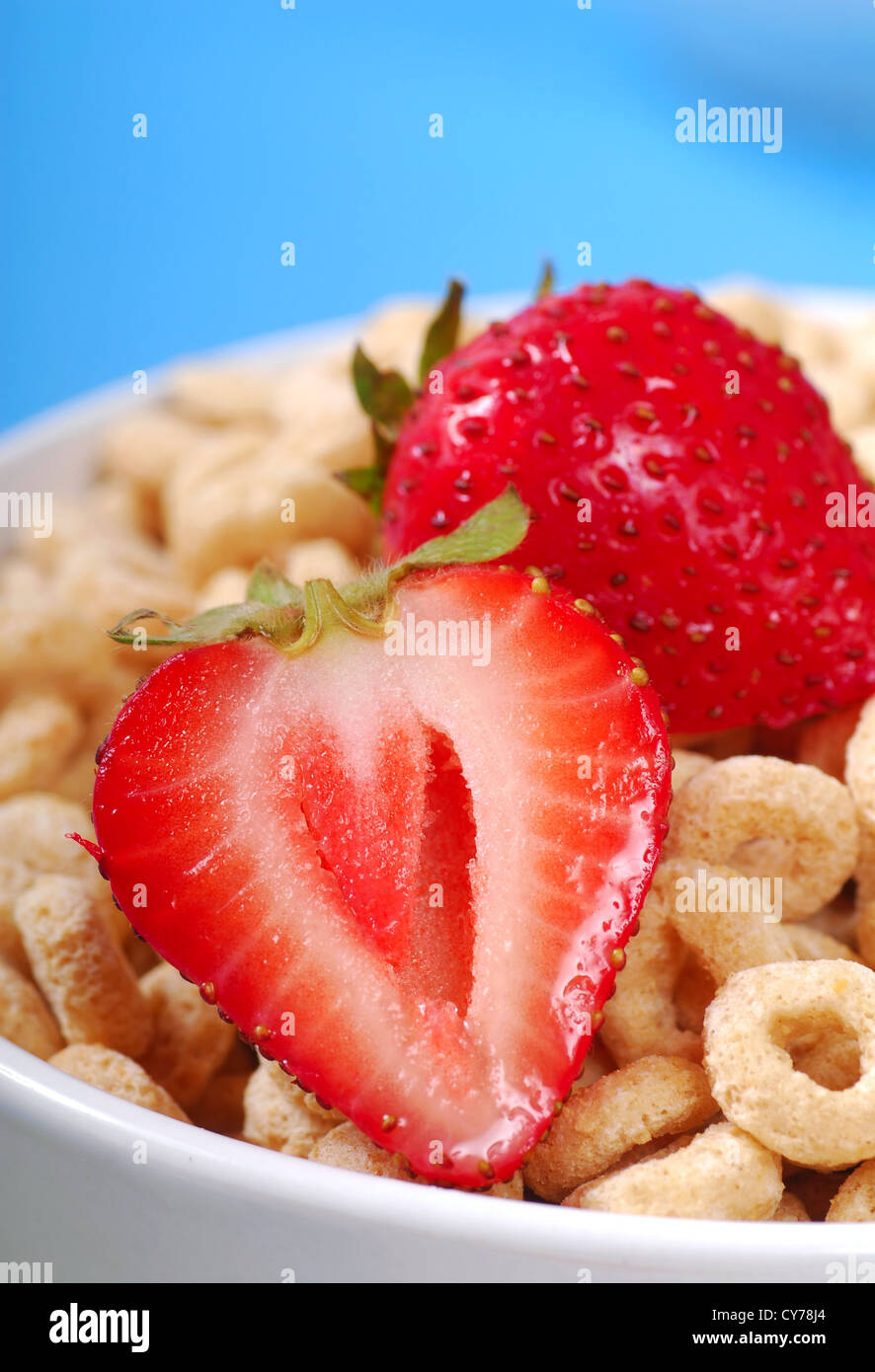 Schüssel mit knusprigen Hafer-Müsli mit frischen Erdbeeren Stockfoto