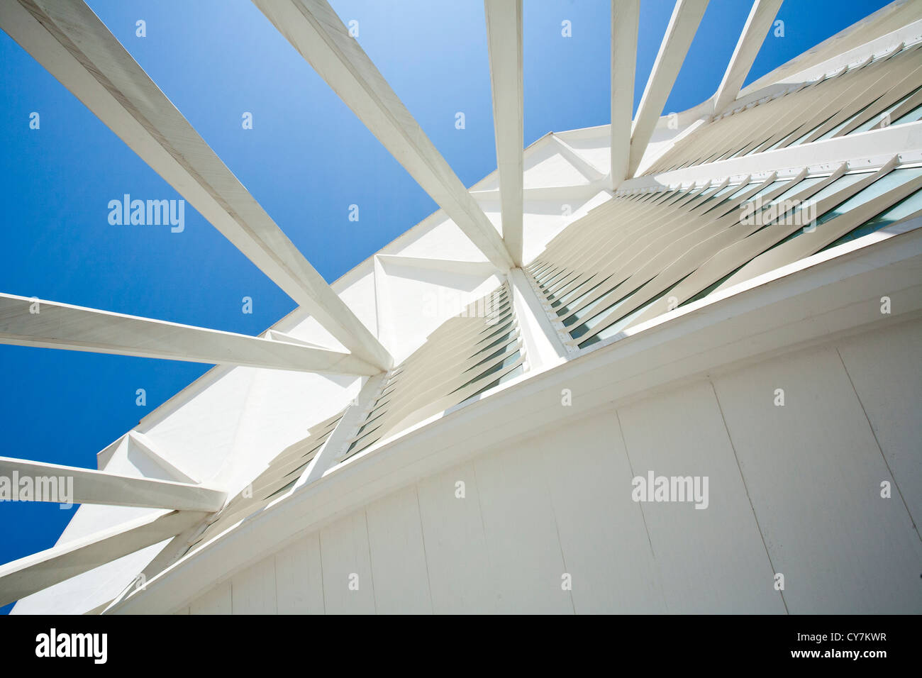 Blick nach oben auf die Struktur des Museum der Wissenschaften Principe Felipe in Valencia, Spanien Stockfoto