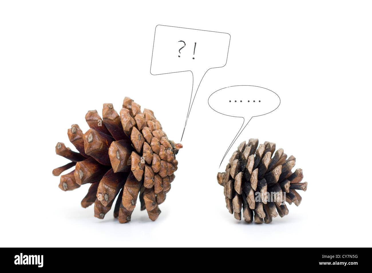 Tannenzapfen Dialog Stockfoto