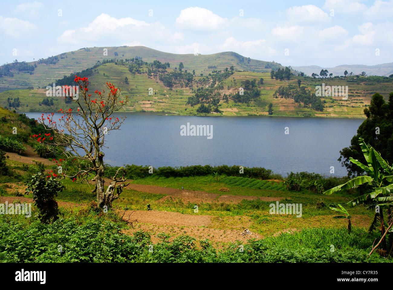 Uganda, Lake Bunyonyi Landschaft Stockfoto