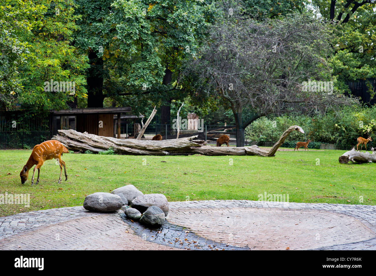 Berlin Zoologischer Garten, Berlin, Deutschland Stockfoto