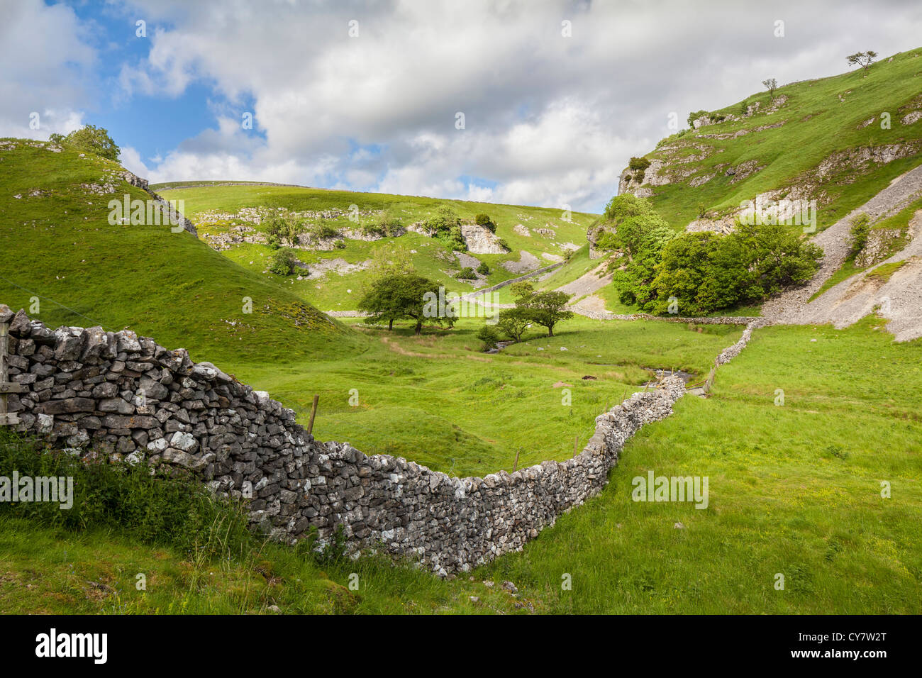 Blick über Trollerdale aus dem Weg zu Steuerungen Gill in der Nähe von Appletreewick in North Yorkshire. Stockfoto