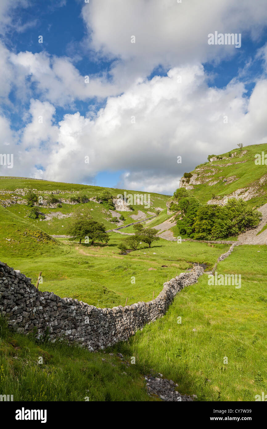 Blick über Trollerdale aus dem Weg zu Steuerungen Gill in der Nähe von Appletreewick in North Yorkshire. Stockfoto