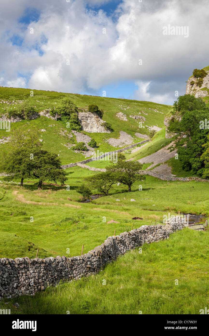 Blick über Trollerdale aus dem Weg zu Steuerungen Gill in der Nähe von Appletreewick in North Yorkshire. Stockfoto