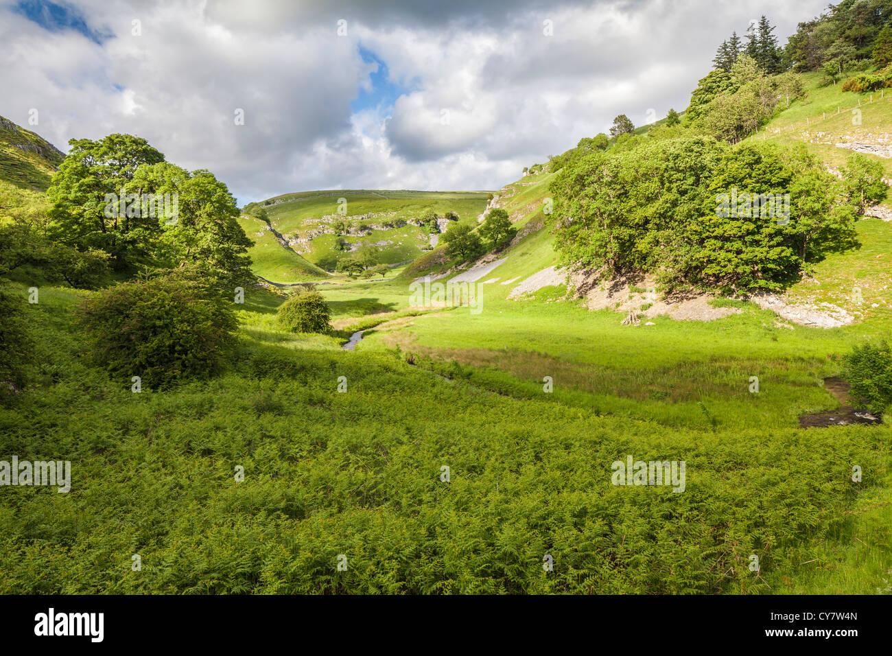 Blick über Trollerdale aus dem Weg zu Steuerungen Gill in der Nähe von Appletreewick in North Yorkshire. Stockfoto