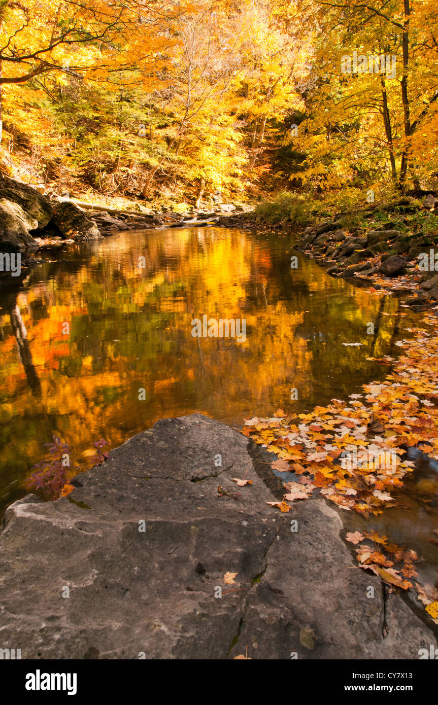 Herbst von einem kleinen noch Pool in einem Wald auf dem Höhepunkt der Färbung reflektiert Stockfoto