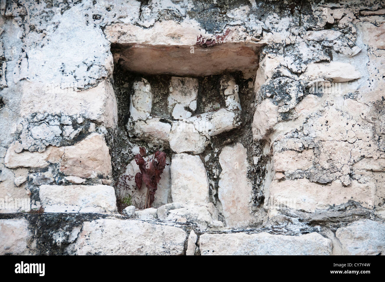 Schnitzen eines Gottes"Tauchen" an den Tempel auf Nohoch Mul (die große Pyramide) bei Coba Maya Ruinen, Riviera Maya, Mexiko Stockfoto