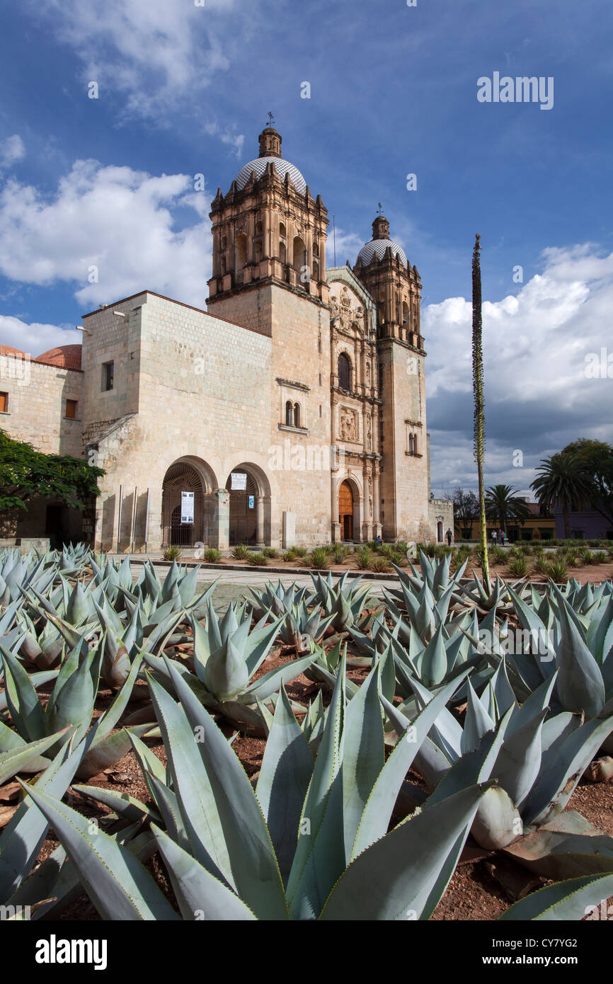 Blaue Agave Kakteen und die Kirche Santo Domingo in der historischen Innenstadt von Oaxaca, Mexiko Stockfoto