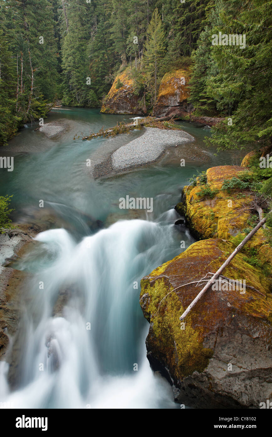 Flusses Ohanapecosh, Mount Rainier Nationalpark, Washington, USA Stockfoto