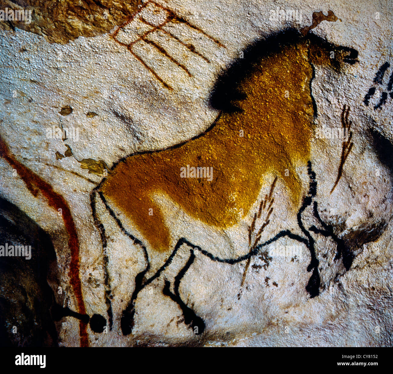 Höhle Gemälde von Chinesisches Pferd, Lascaux, Frankreich Stockfoto