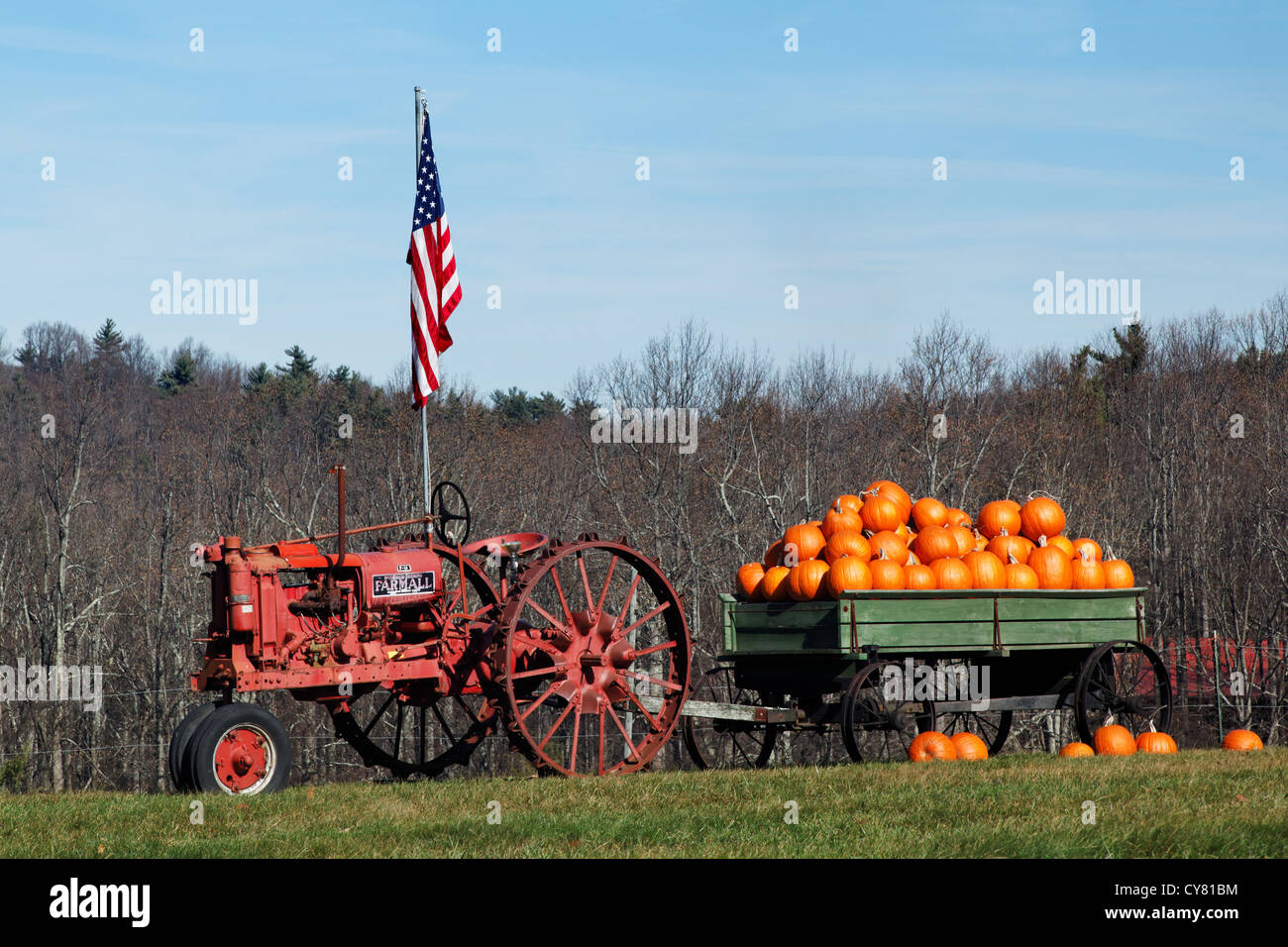 Roter Traktor und Wagen voller Kürbisse im Feld, Blue Ridge Parkway, Virginia, USA Stockfoto