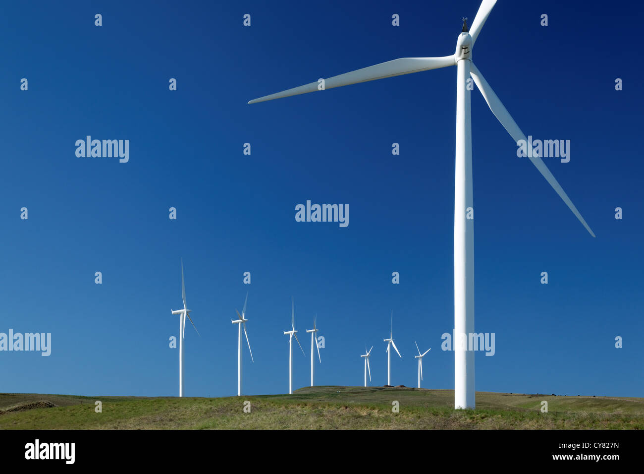 Windkraftanlagen im Windpark Windy Wohnungen Heuhaufen Butte, Columbia Hills, Goldendale Klickitat County, Washington, USA Stockfoto