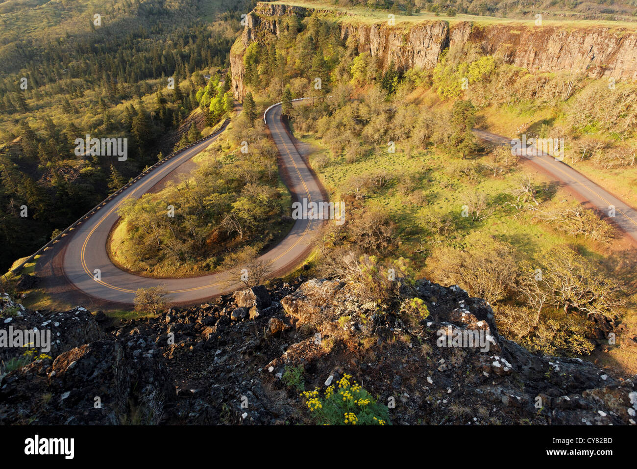 Scenic Highway 30 nimmt eine Haarnadelkurve absteigend von der Hochebene Rowena Rowena, Oregon, USA Stockfoto