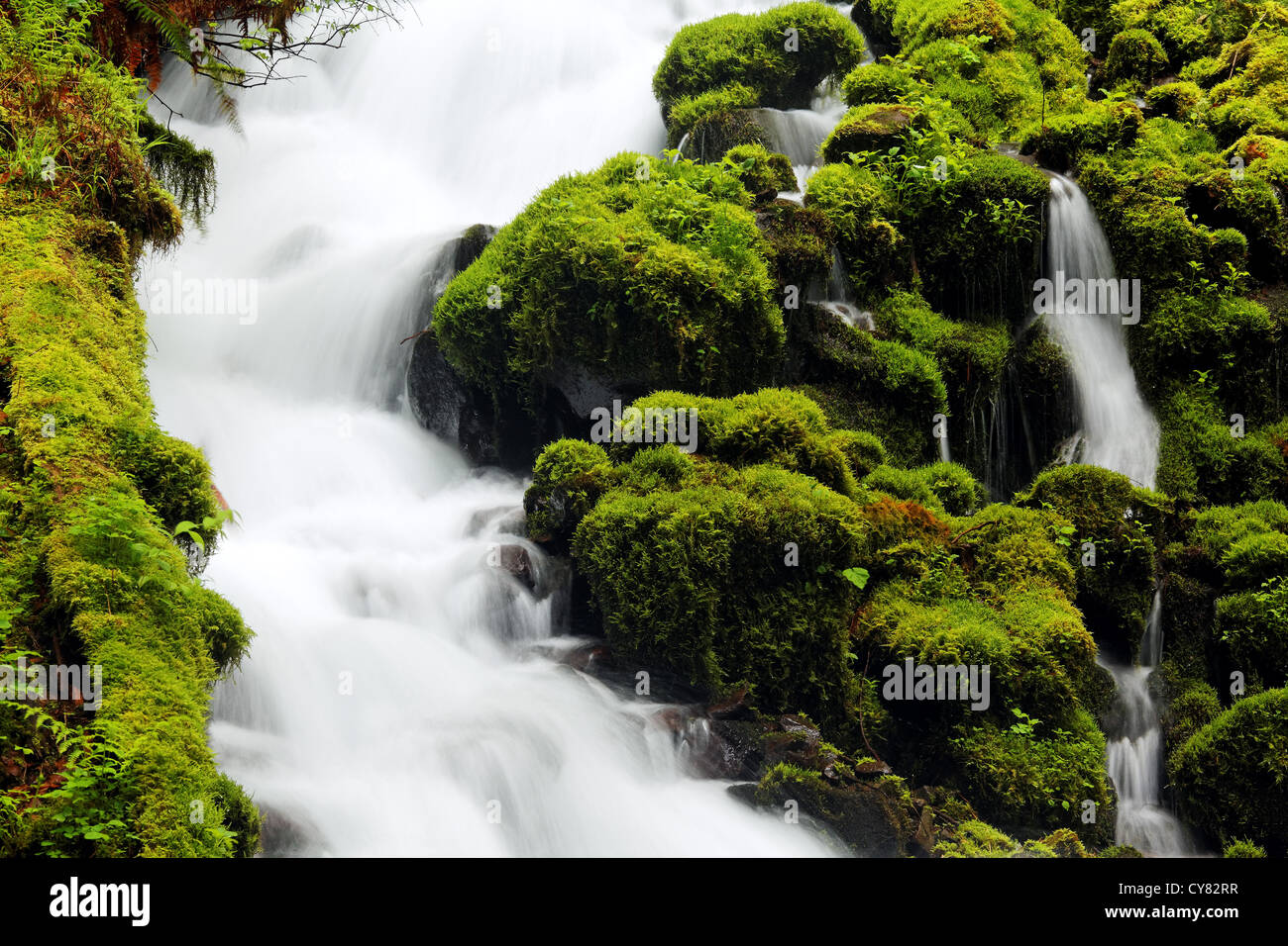 Wahkeena Creek, Columbia River Gorge National Scenic Area, Oregon, USA Stockfoto