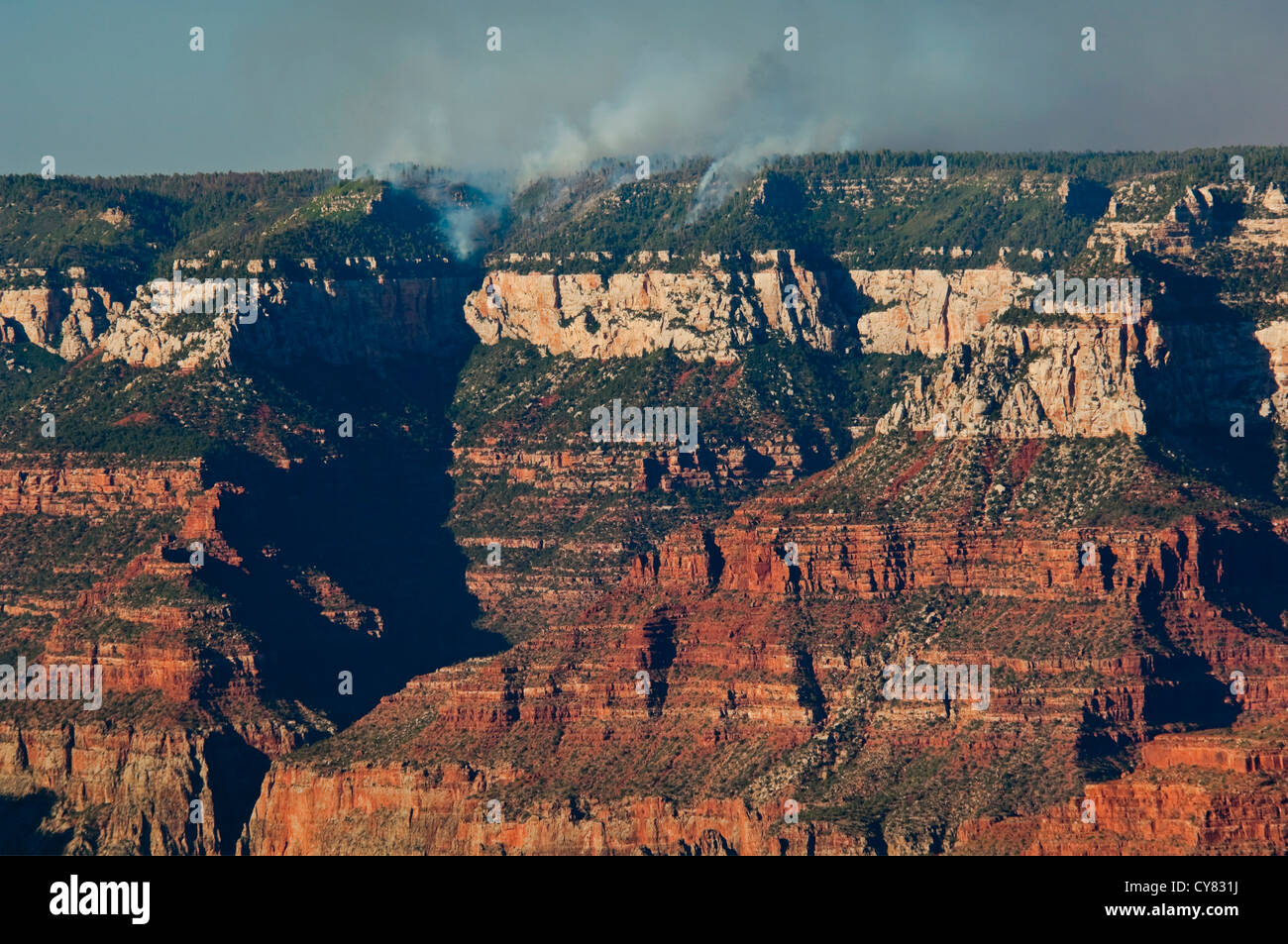 Ansicht der Waldbrand auf der North Rim des Grand Canyon, Grand Canyon Nationalpark in Arizona Stockfoto