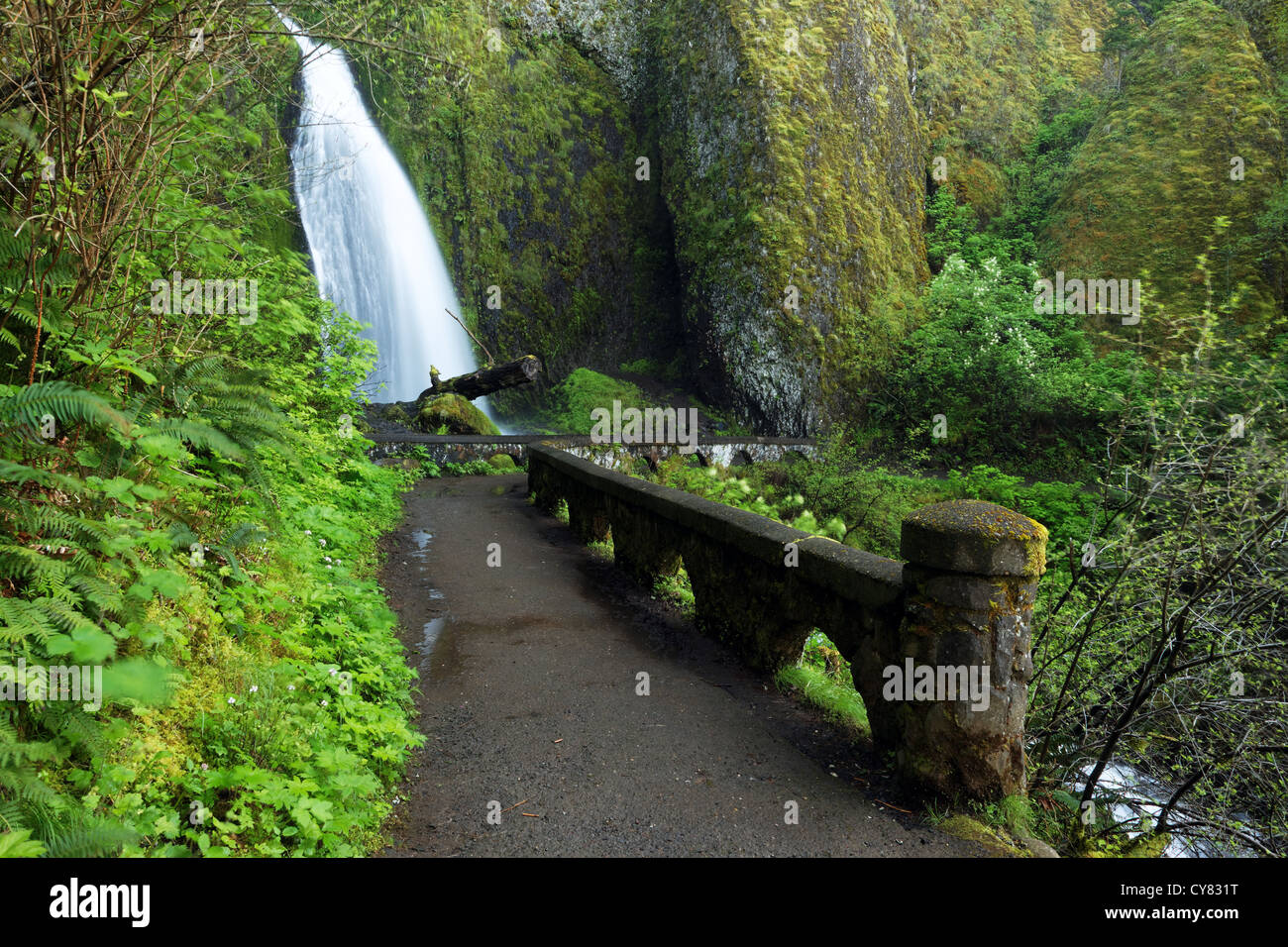 Wahkeena Wasserfälle und Steg, Columbia River Gorge National Scenic Area, Oregon, USA Stockfoto