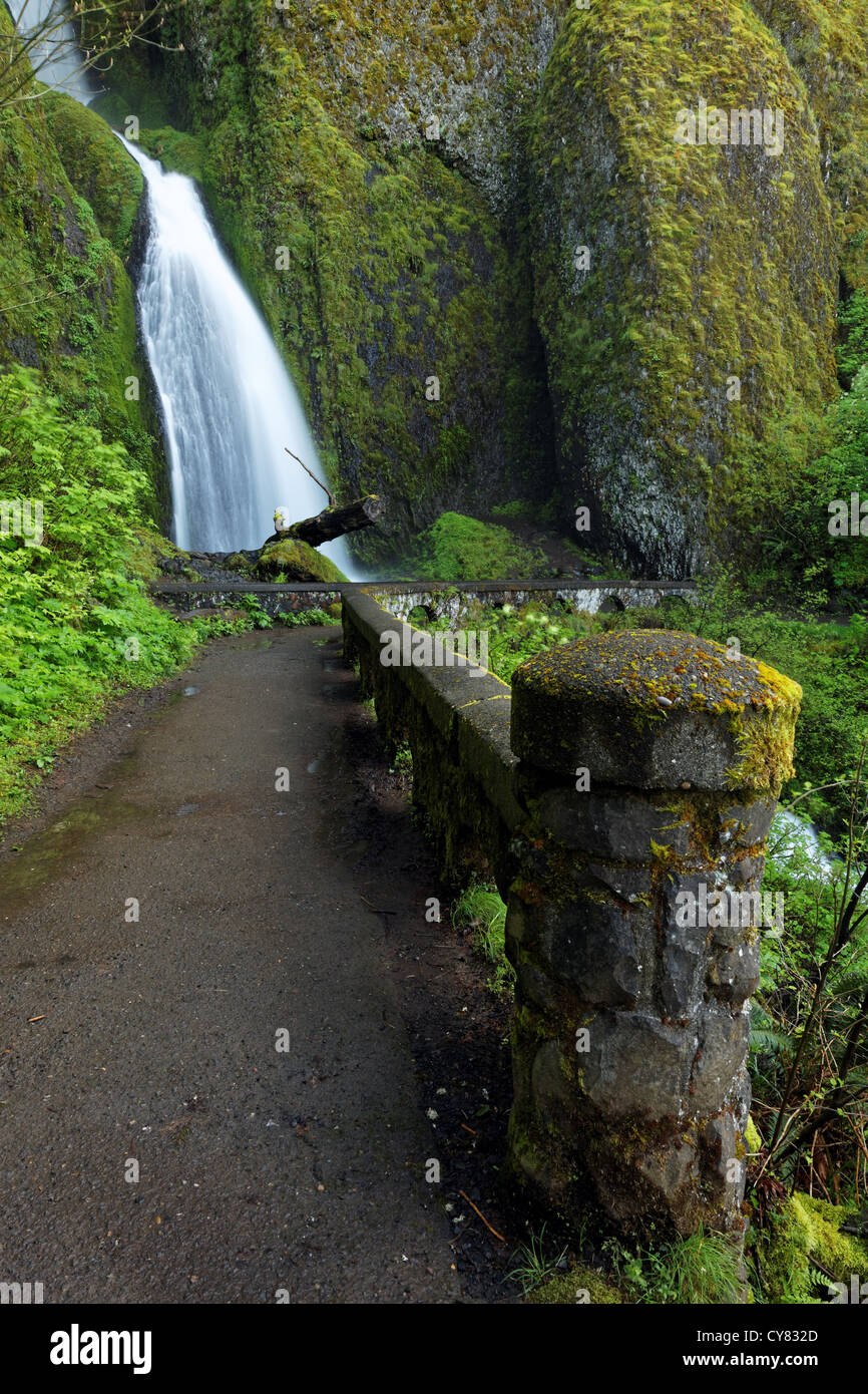 Wahkeena Wasserfälle und Steg, Columbia River Gorge National Scenic Area, Oregon, USA Stockfoto
