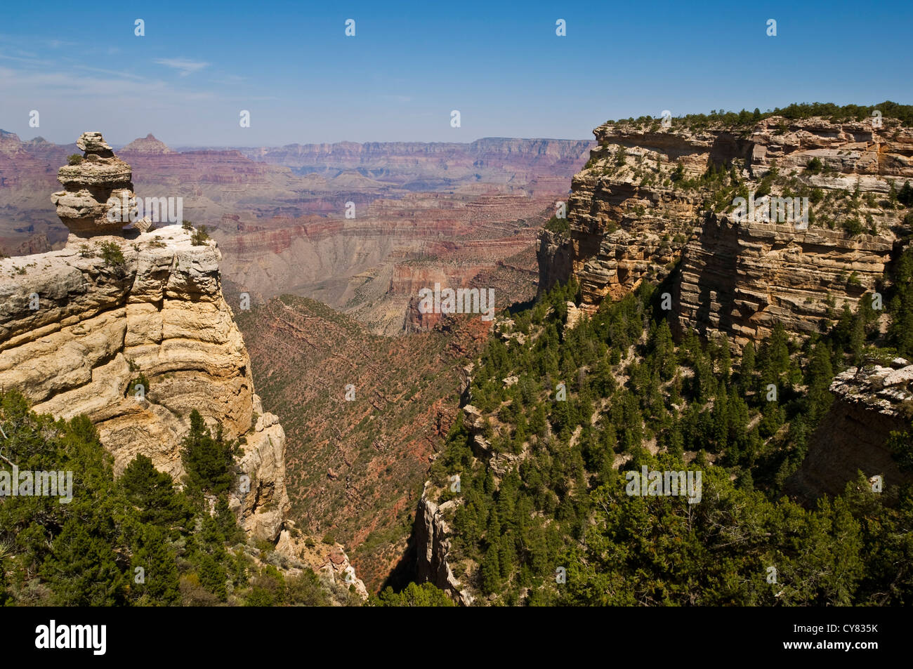 Malerische Aussicht von geschichteten Felsen entlang des South Rim, Grand Canyon Nationalpark in Arizona Stockfoto