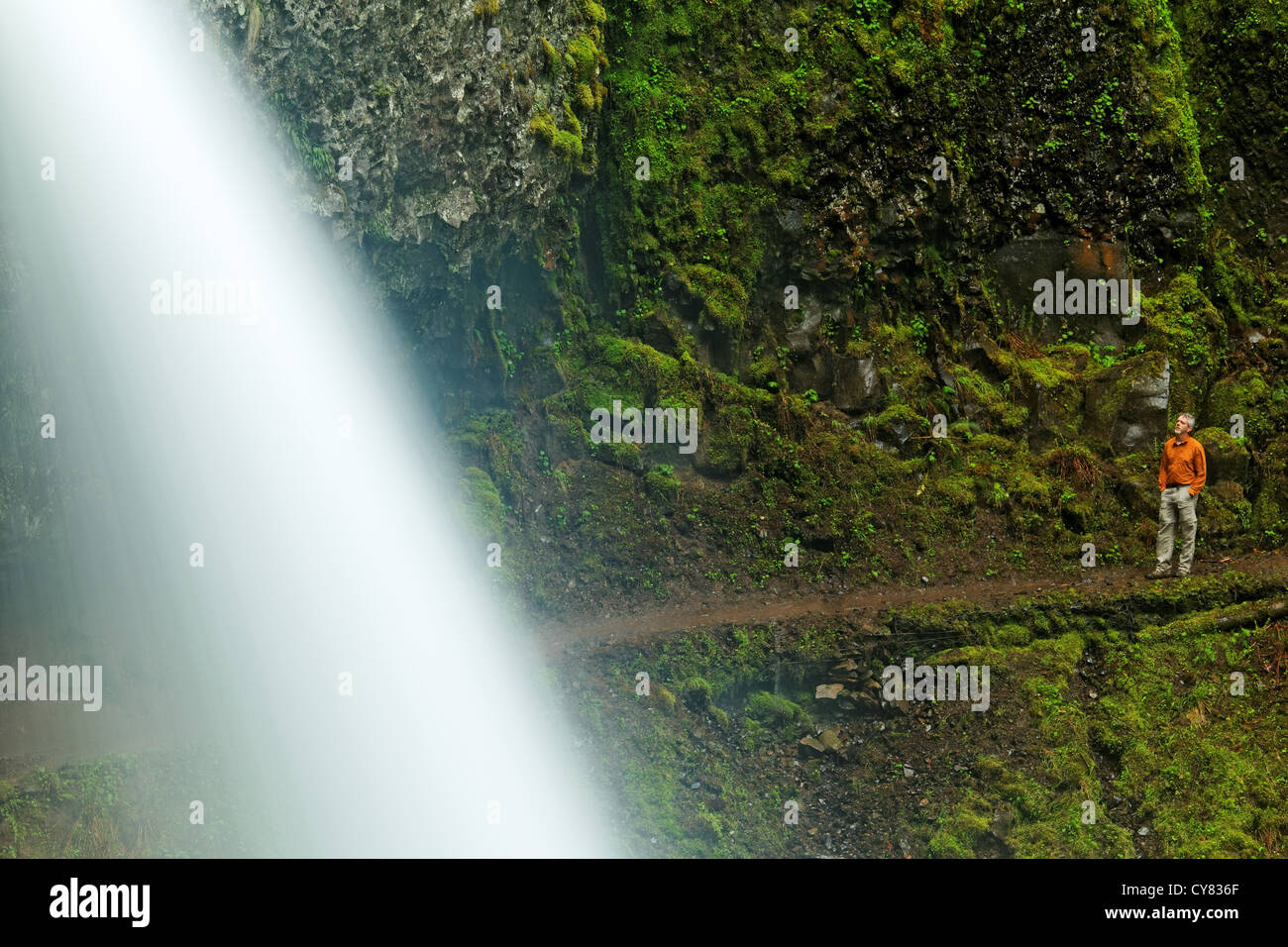 Mann auf Spur hinter Pferdeschwanz fällt und Moos bedeckt Felsbrocken, Columbia River Gorge National Scenic Area, Oregon, USA Stockfoto