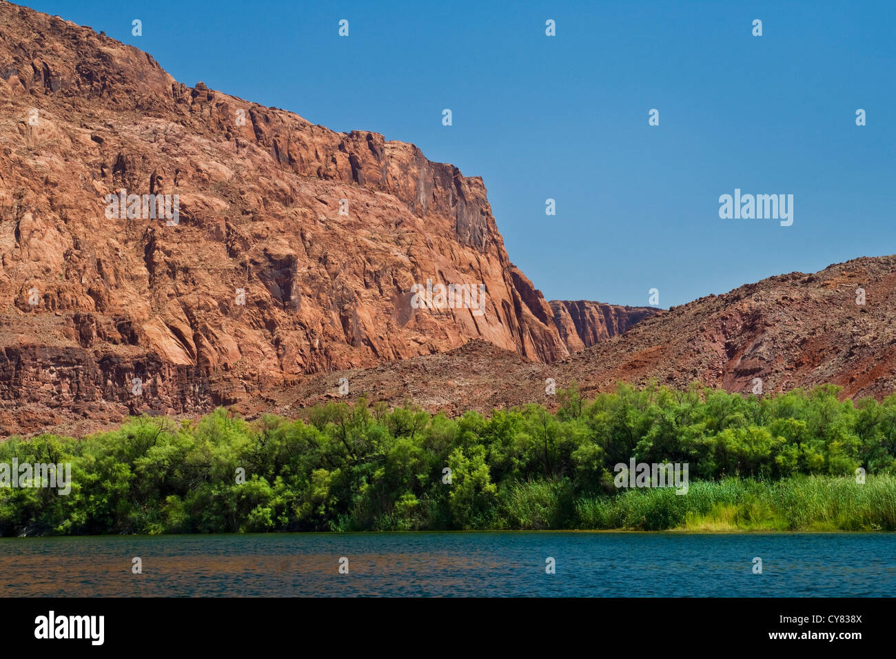 Rote Felsen über dem Colorado River bei Lees Ferry, Glen Canyon National Recreation Area, Arizona Stockfoto