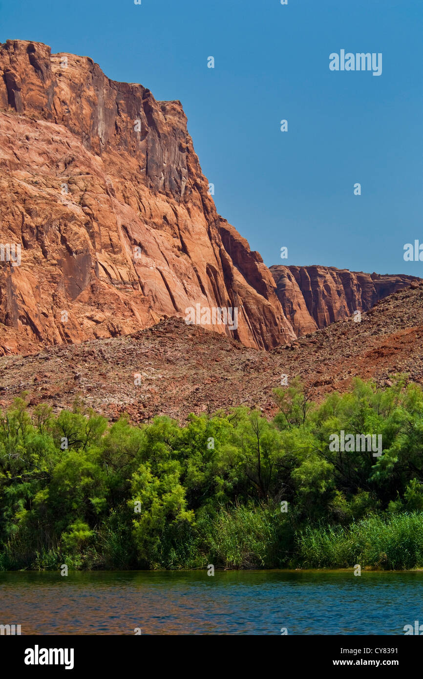 Rote Felsen über dem Colorado River bei Lees Ferry, Glen Canyon National Recreation Area, Arizona Stockfoto