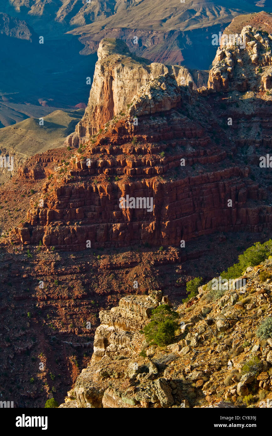 Grand Canyon gesehen von Lipan Point, South Rim, Grand Canyon Nationalpark in Arizona Stockfoto