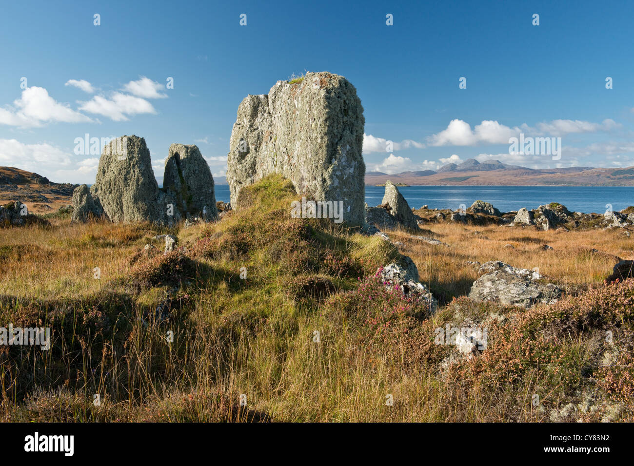 Metamorphen Gesteinen über Heidekraut entlang der Küste. Tayvallich Halbinsel und Jura, Schottland Stockfoto