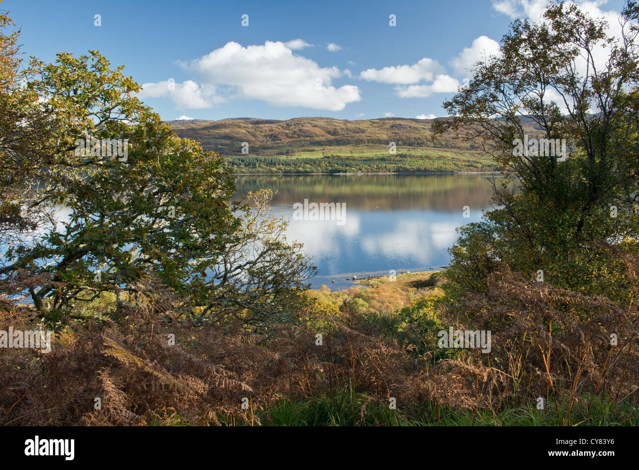 Blick über Loch Sween an der Westküste von Schottland. Argyllshire, Schottland Stockfoto