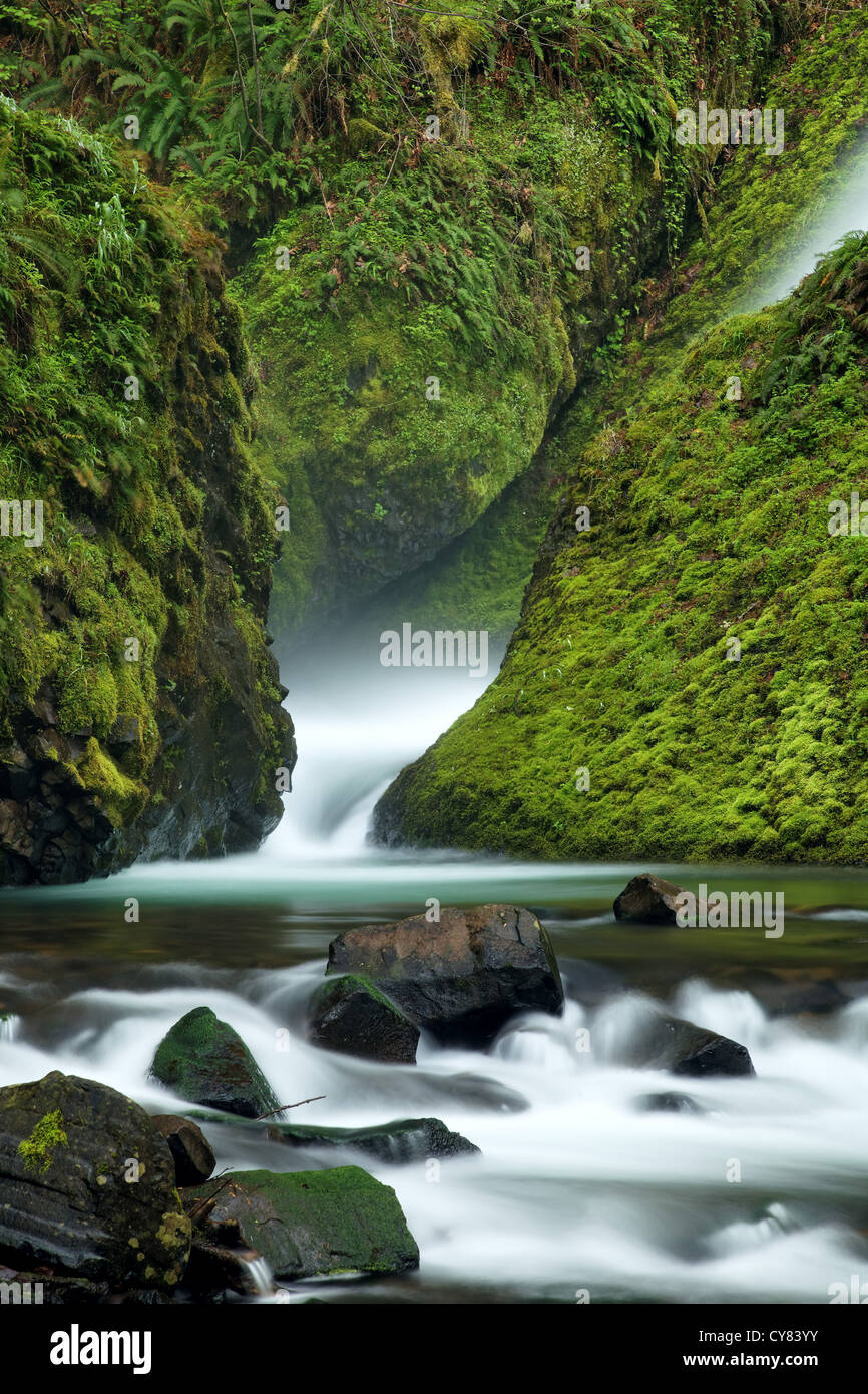 Bridal Veil Creek, Bridal Veil Falls State Park, Columbia River Gorge National Scenic Area, Oregon, USA Stockfoto