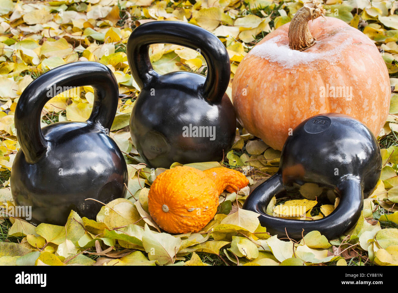 drei schwere Eisen Kettlebells im Freien in einem Herbst-Landschaft mit Kürbis und Kürbis - outdoor-Fitness-Konzept Stockfoto