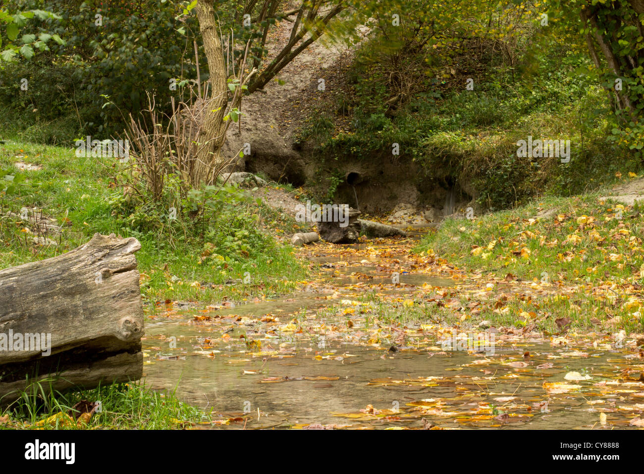 Barton springs Stockfoto