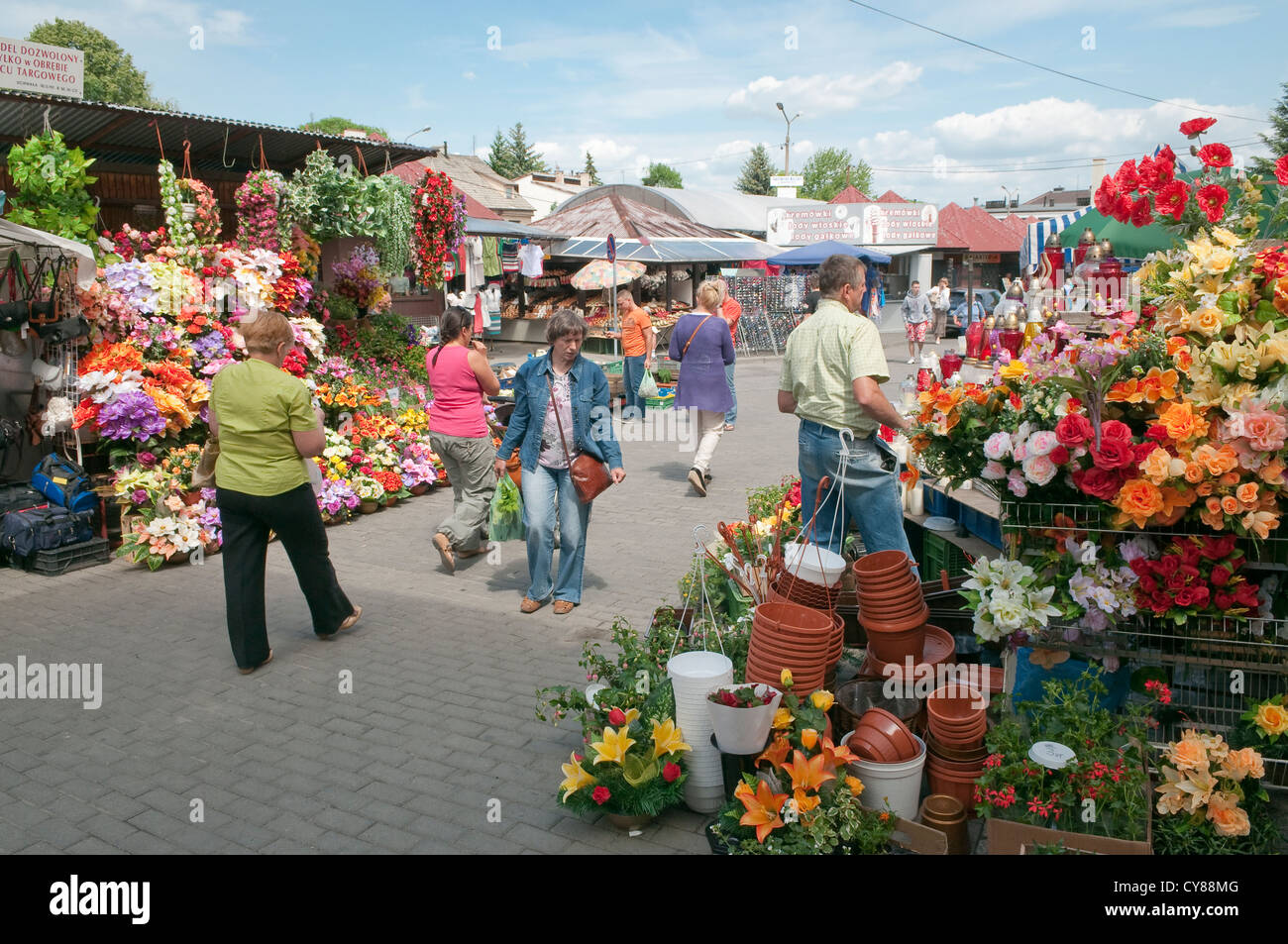 Blume Stände am lokalen Markt in Wadowice, kleine Stadt in Südpolen. Stockfoto