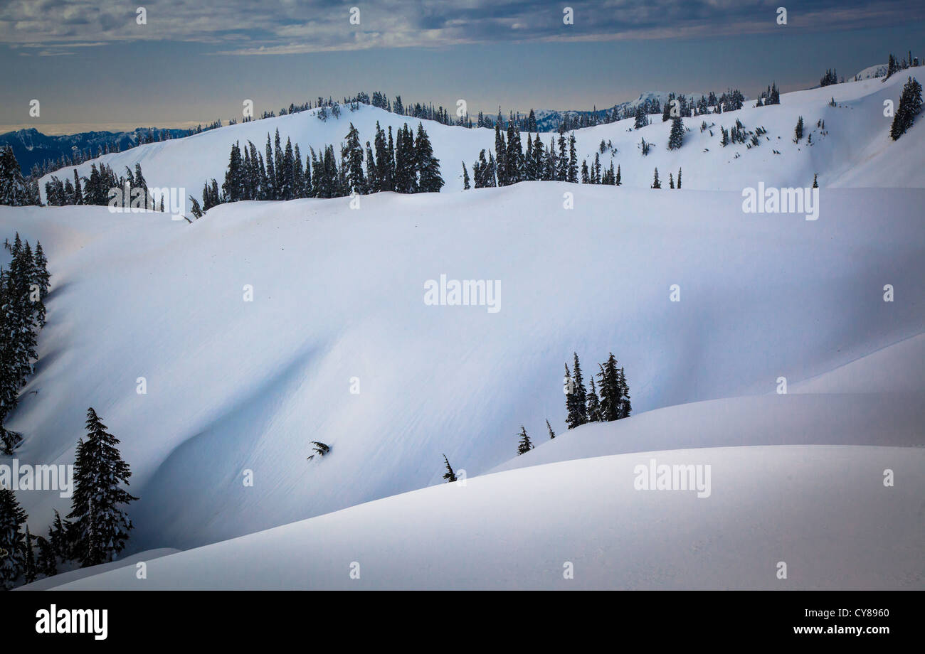 Schnee und Bäumen Mazama Grat am Mount Rainier im winter Stockfoto